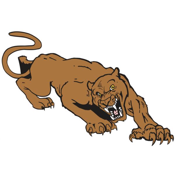 AR5 COUGAR 41 RQC Thumbnail